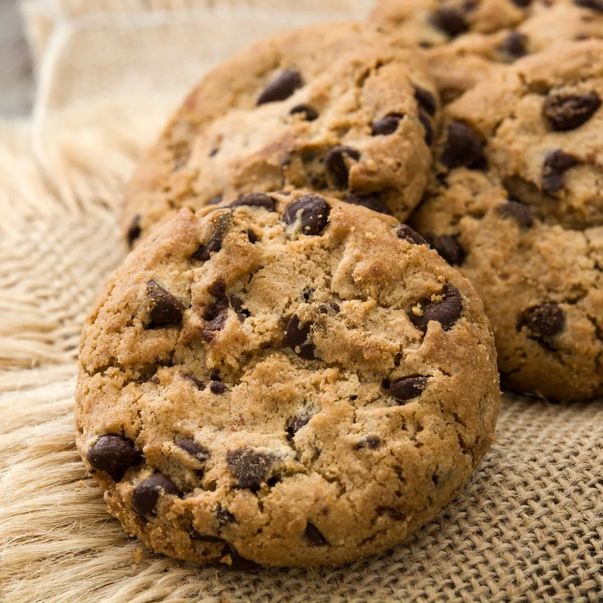 August 4-national chocolate chip cookie day