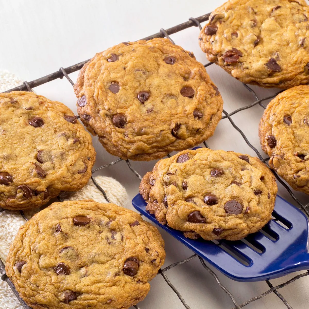 Cookies with Chocolate Chips Recipe