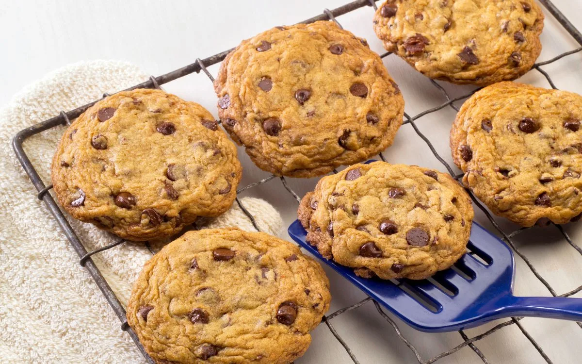 Cookies with Chocolate Chips Recipe
