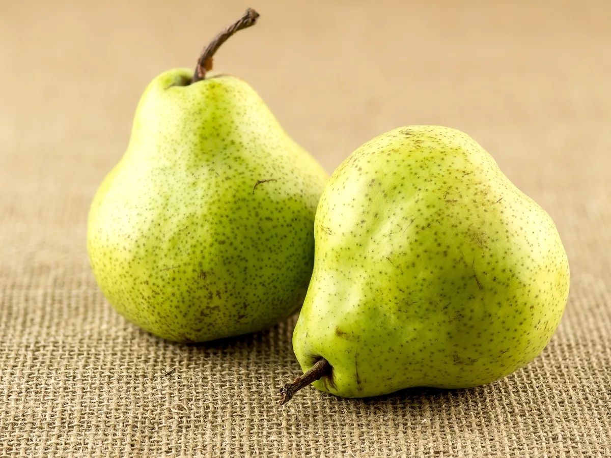 foods that start with A - anjou pear