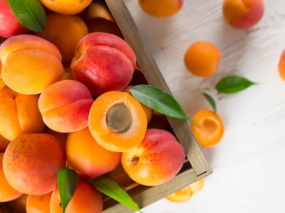 foods that start with A - apricots