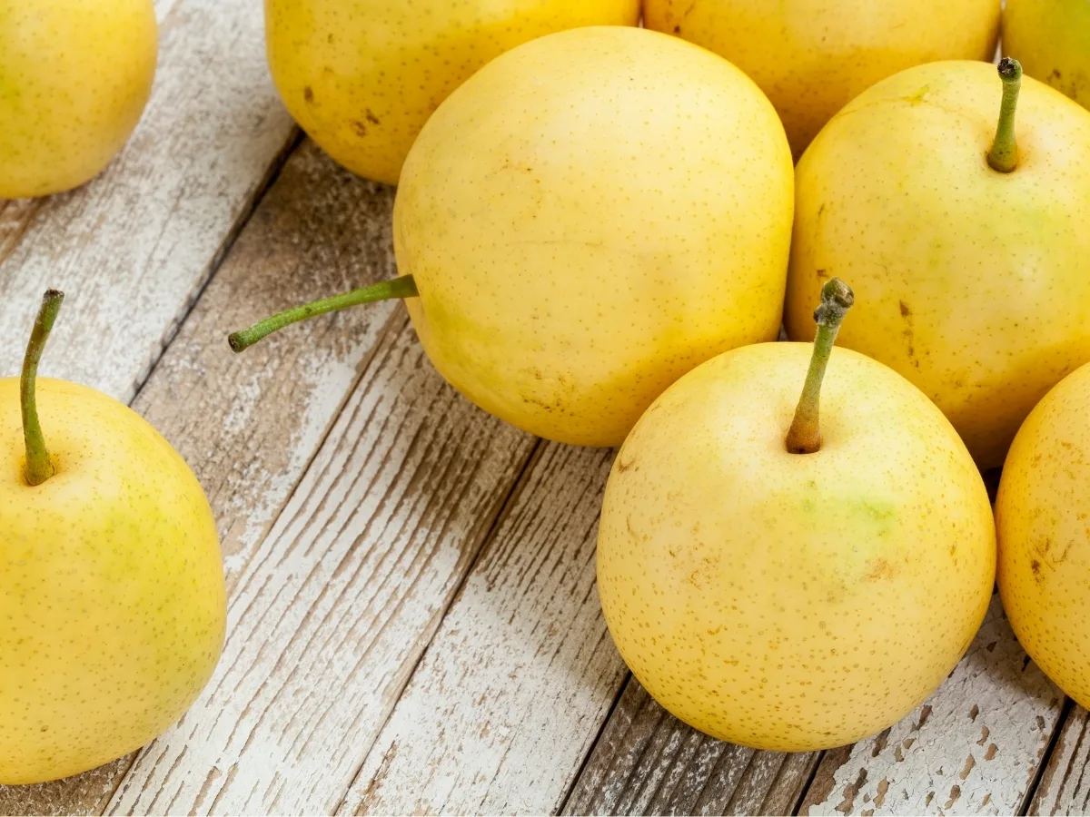 foods that start with A - Asian pear