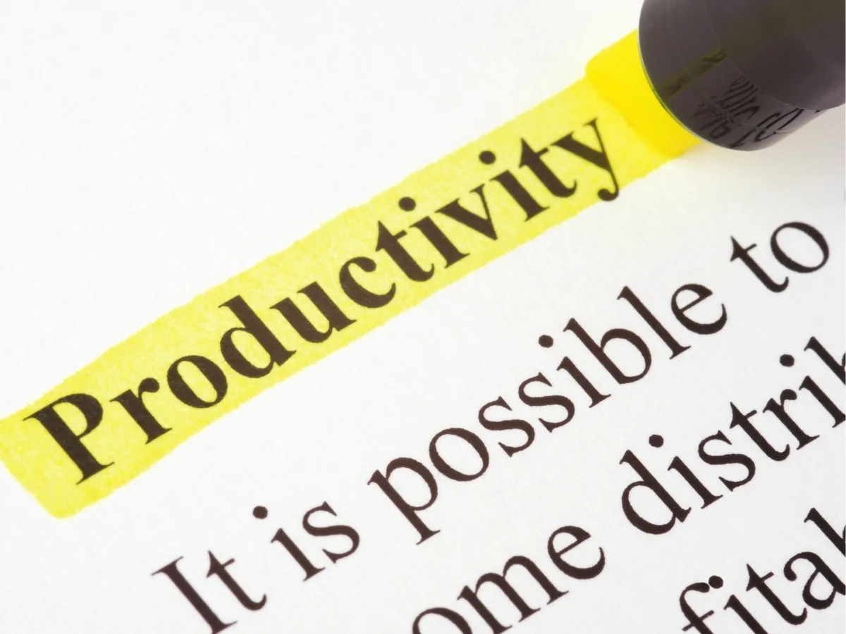 word productivity highlighted in yellow